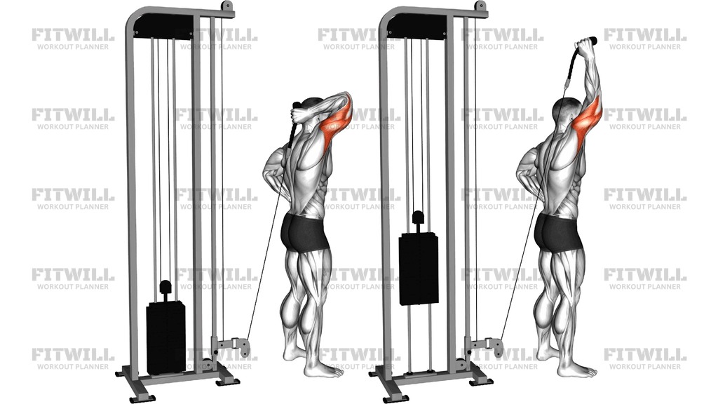 Cable Overhead Single-Arm Triceps Extension Rope Attachment
