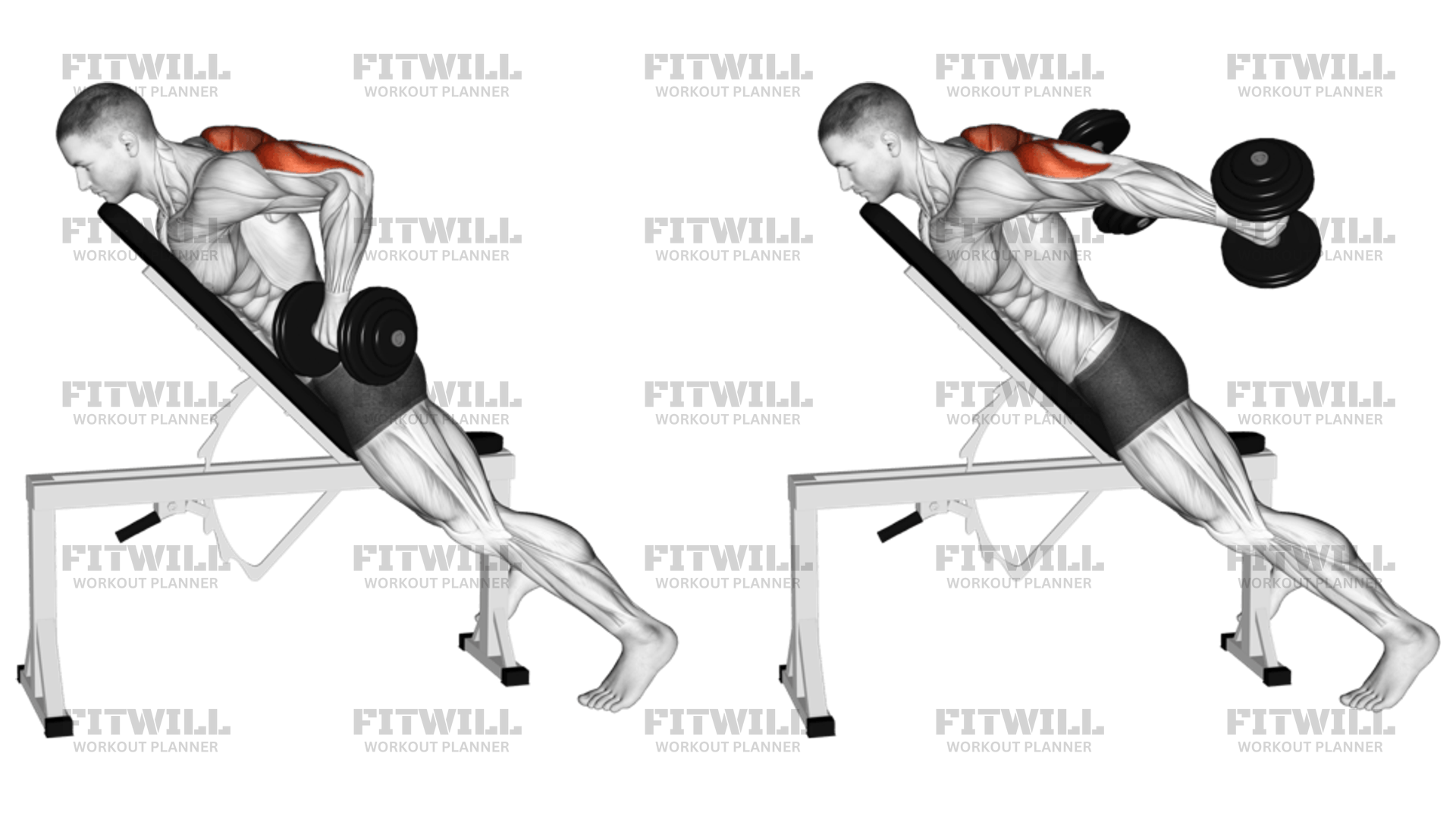Dumbbell Prone Triceps Kickback Exercise Guide Techniques Benefits