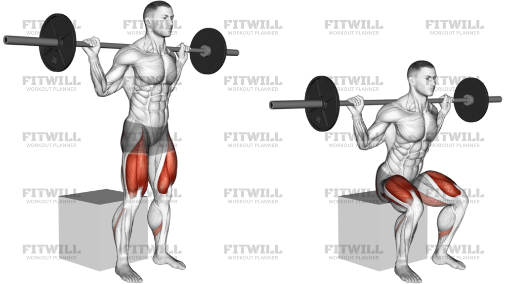 Barbell Box Squat