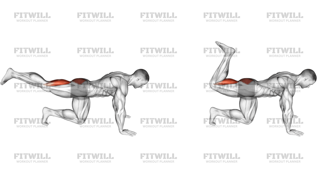 Quadruped Leg Curl