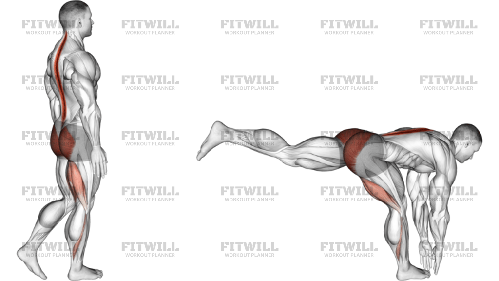 Bodyweight Single Leg RDL