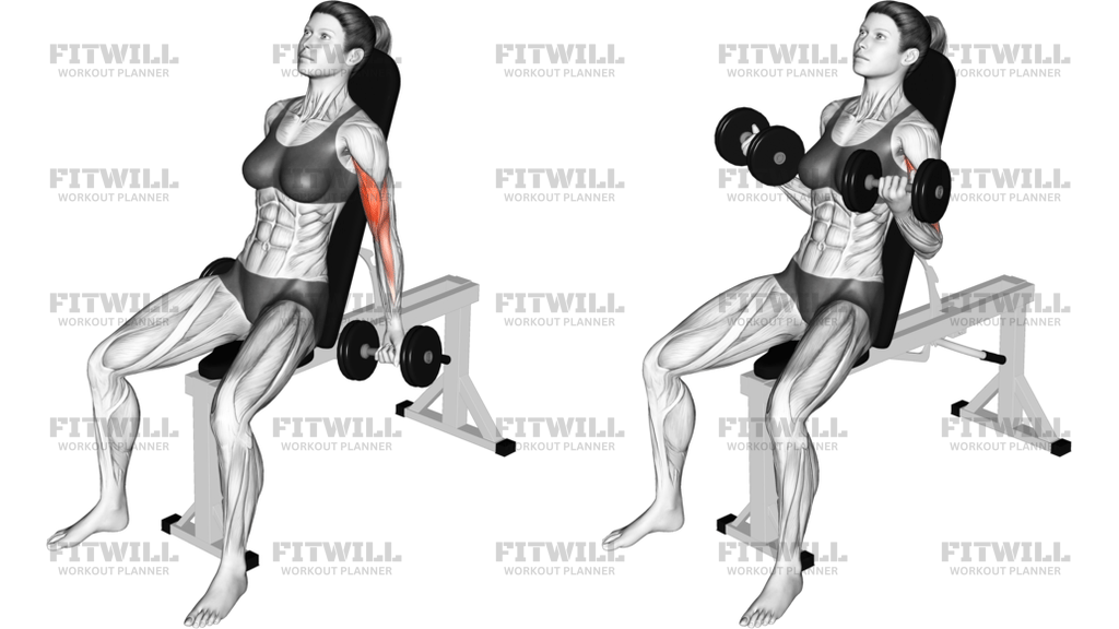 Dumbbell Incline Biceps Curl 70 Degrees