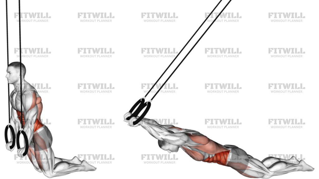 Ab Rollout Com Argolas Ajoelhado