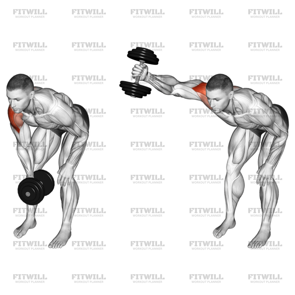 Dumbbell One Arm Y Elevation: Exercise Guide, Techniques, Benefits, How ...