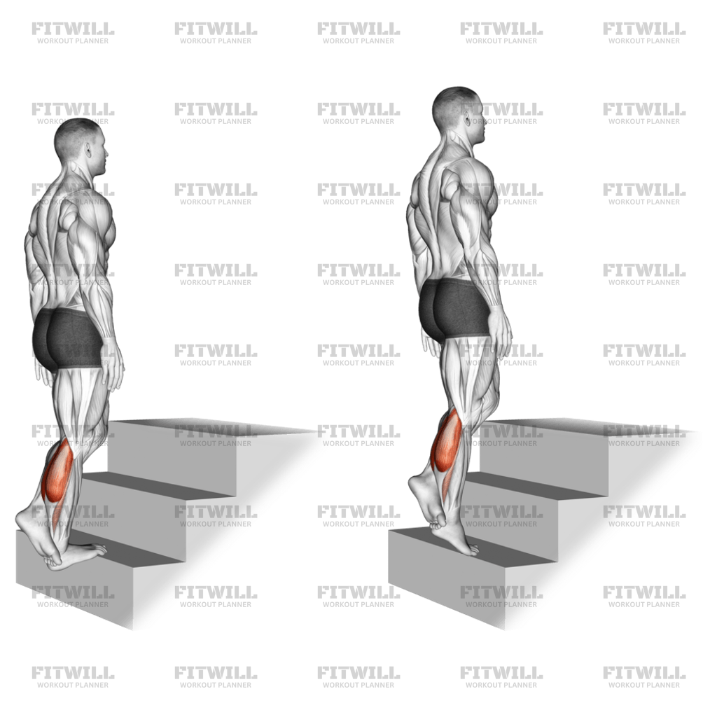 Standing Single Leg Calf Raise (On A Staircase): Exercise Guide ...