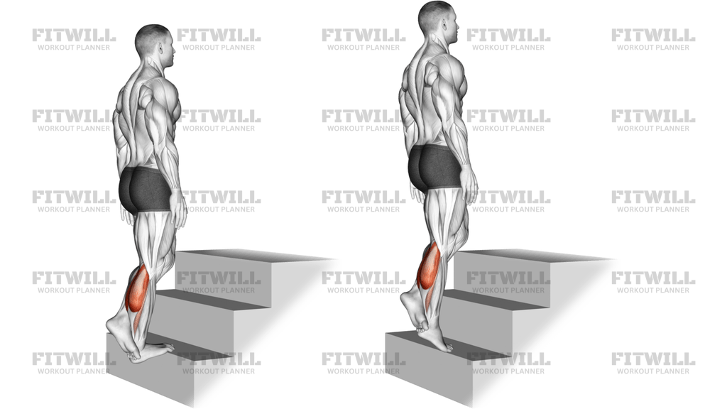 Standing Single Leg Calf Raise On A Staircase