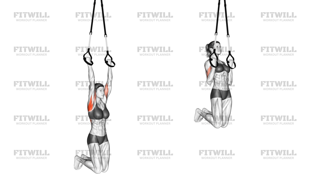 Suspension Chin-Up