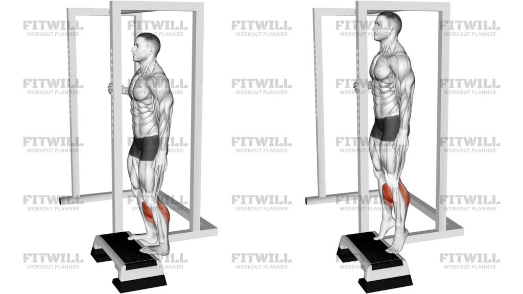 Elevated Standing Calf Raise