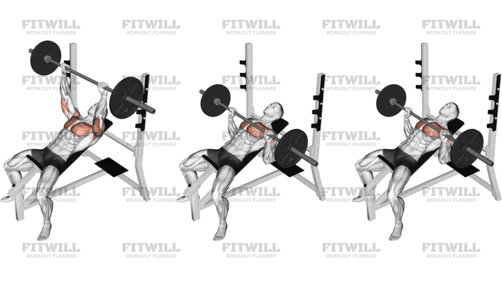 Barbell Pause Incline Bench Press