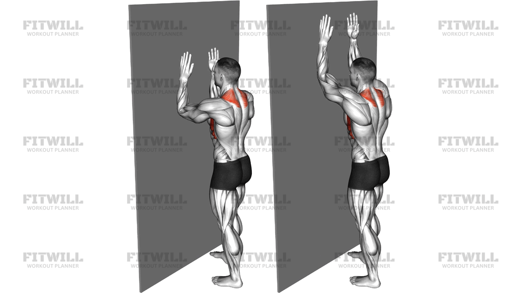Serratus Wall Slide