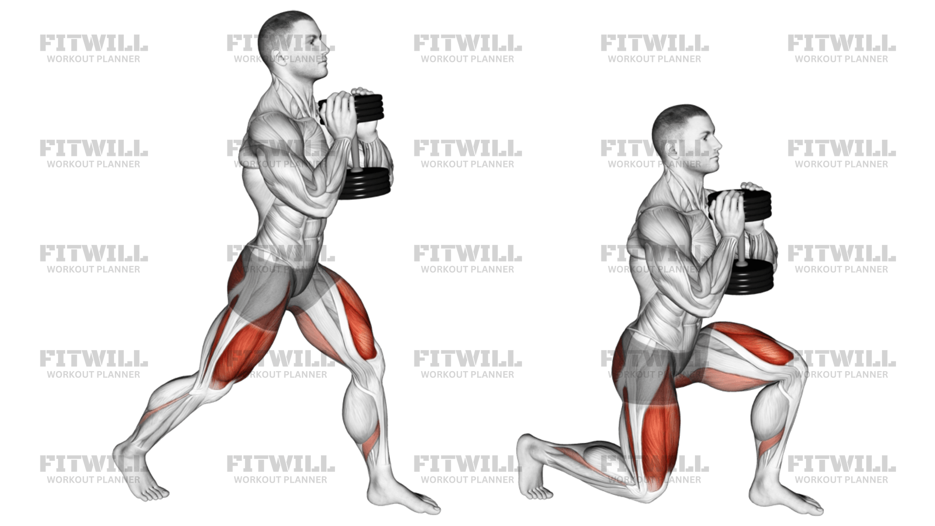 Dumbbell Goblet Split Squat Exercise Guide Video Techniques