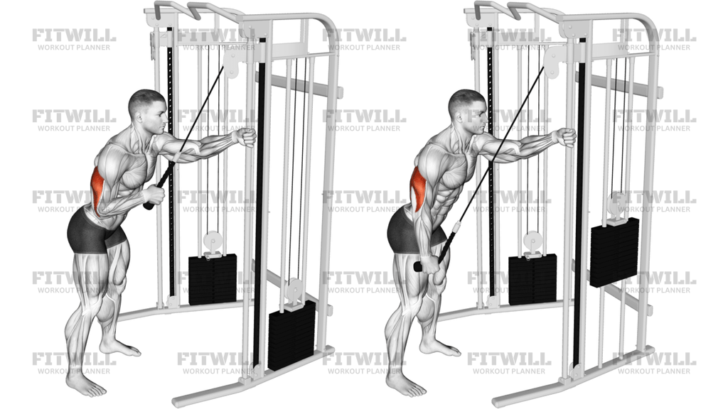 Cable Single-Arm Triceps Pushdown Rope Attachment
