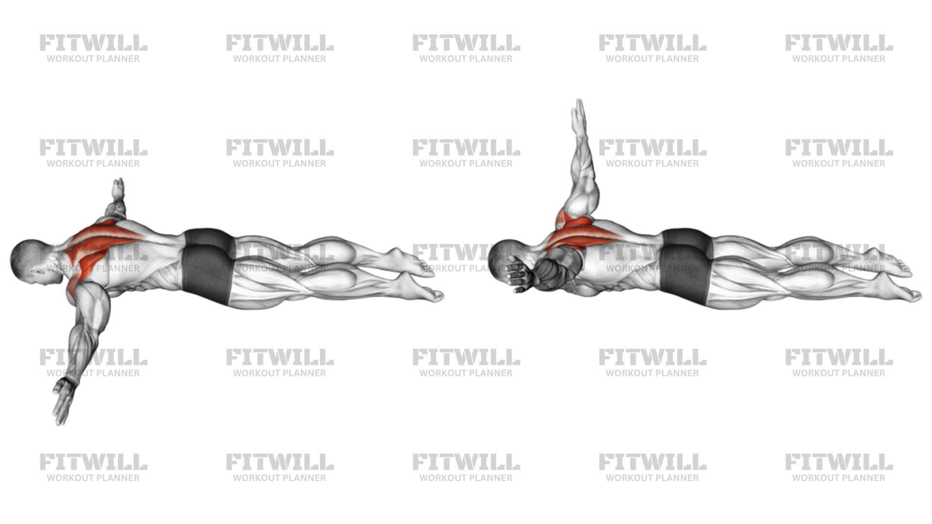 Lying Prone T Exercise Guide Video Techniques Benefits How To