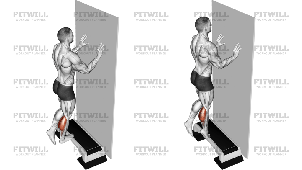 Single Leg Calf Raise Off Step