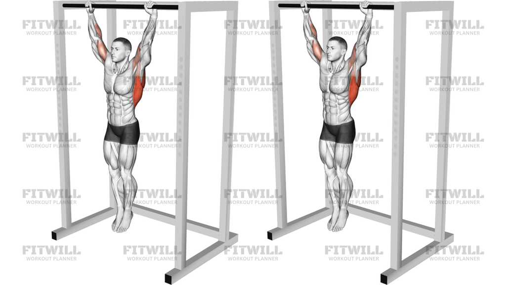 Dead Hang Stretch