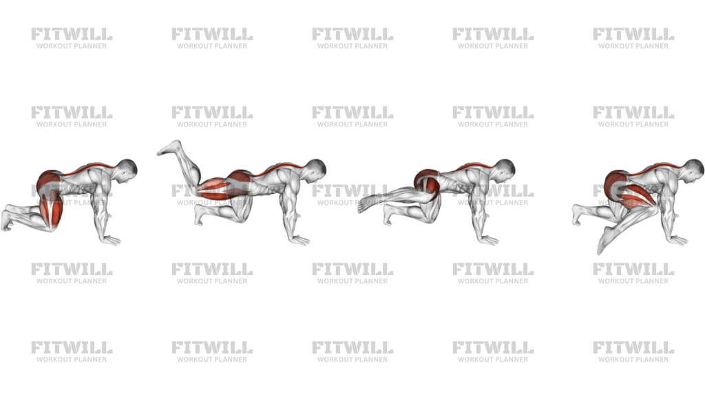 Kneeling Forward Hip Circles