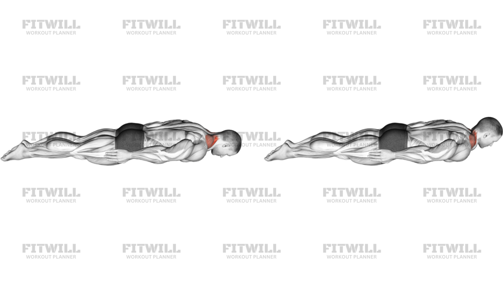 Prone Cervical Extension