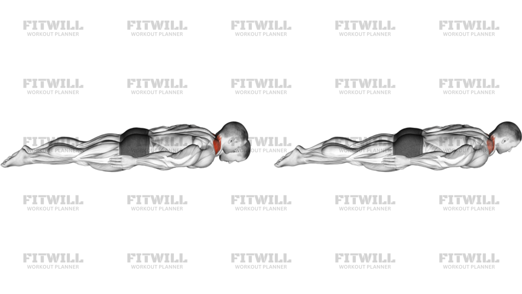Prone Cervical Extension Isometric Hold