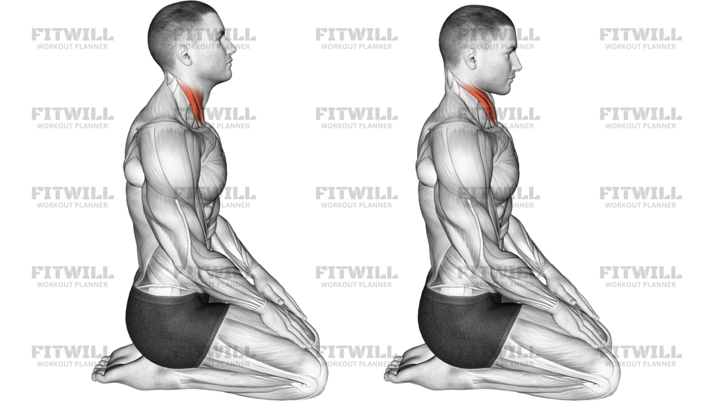 Seated Chin Tuck