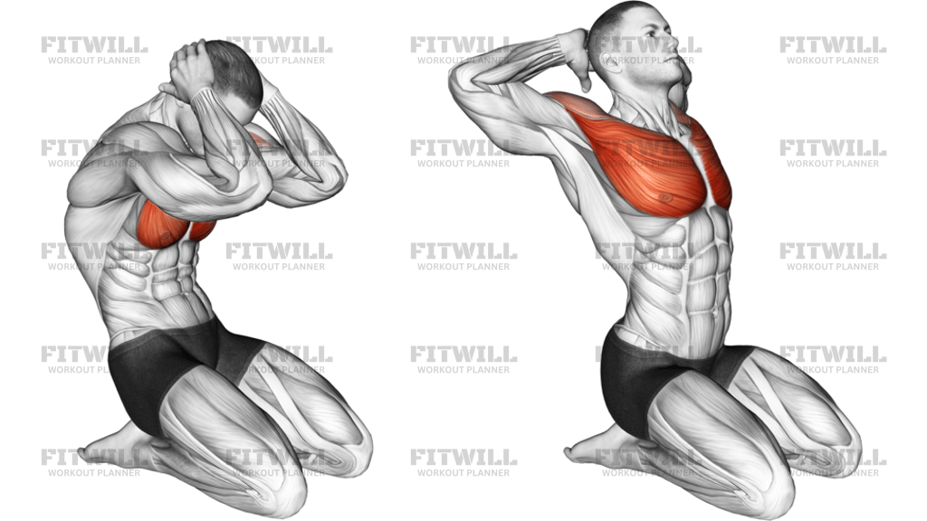 Seated Chest Clam