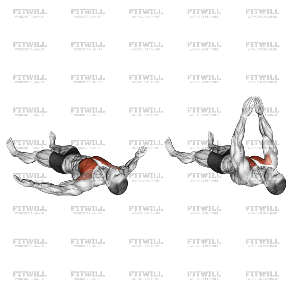 Lying Floor Fly Exercise Video Fitwill