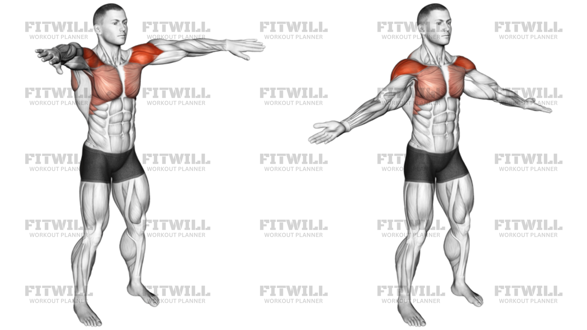Palm-Up Palm Down Rotation: Exercise Guide, Video, Techniques, Benefits ...