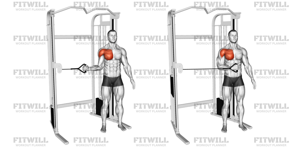 Rotação Interna Do Ombro Com Cabo: Vídeo do Exercício | Fitwill