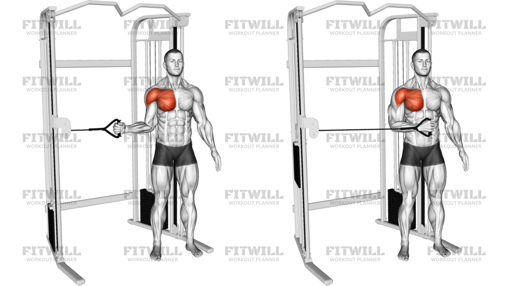 Cable Shoulder Internal Rotation