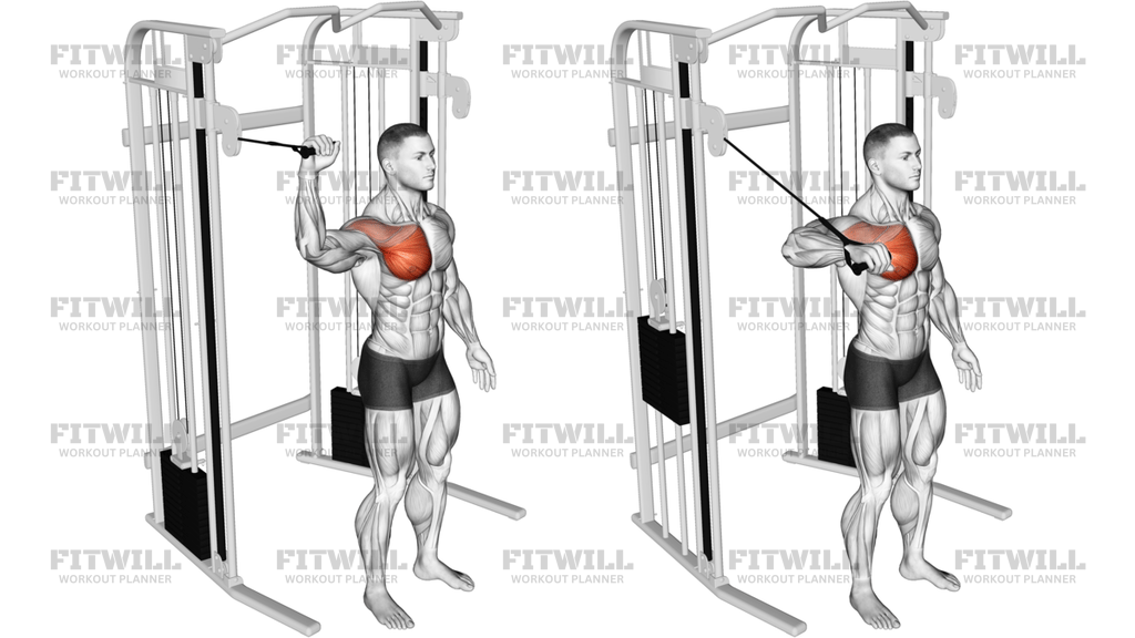 Cable Shoulder 90 Degrees Internal Rotation