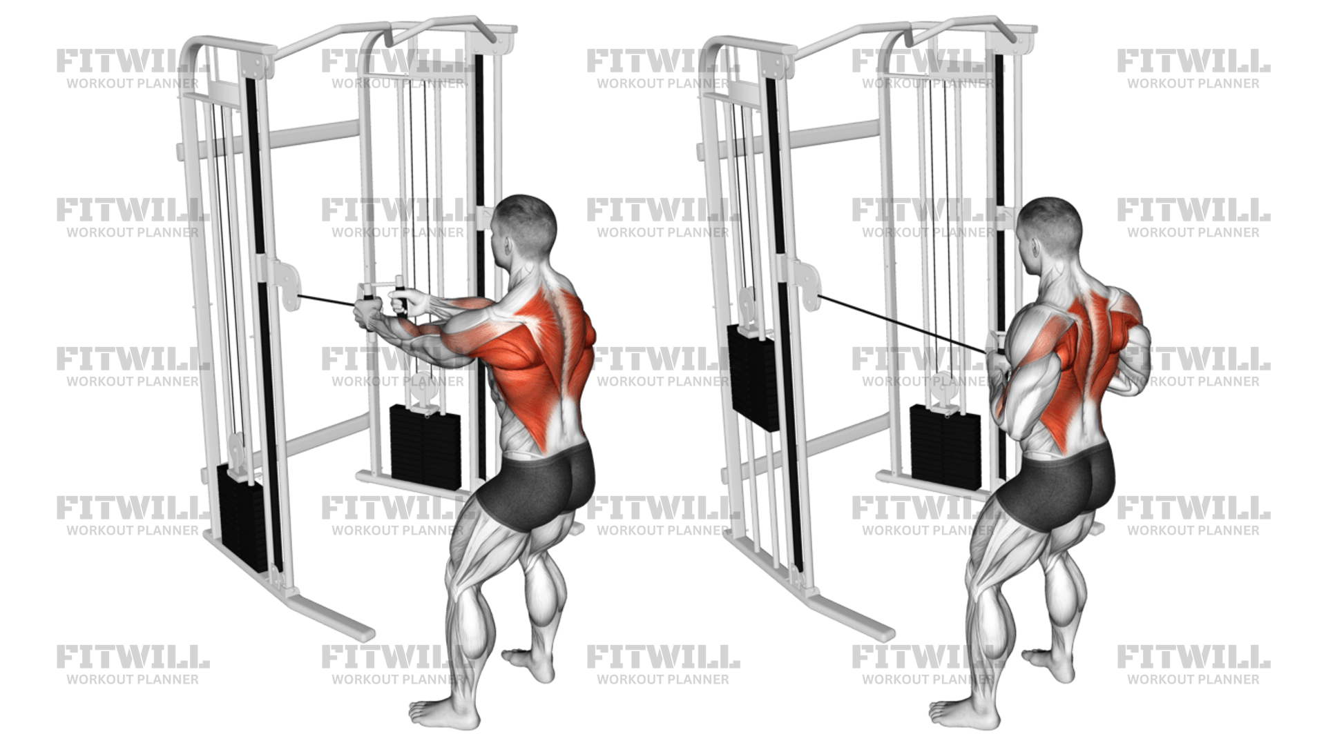 Cable Standing Row: Exercise Guide, Video, Techniques, Benefits, How to ...