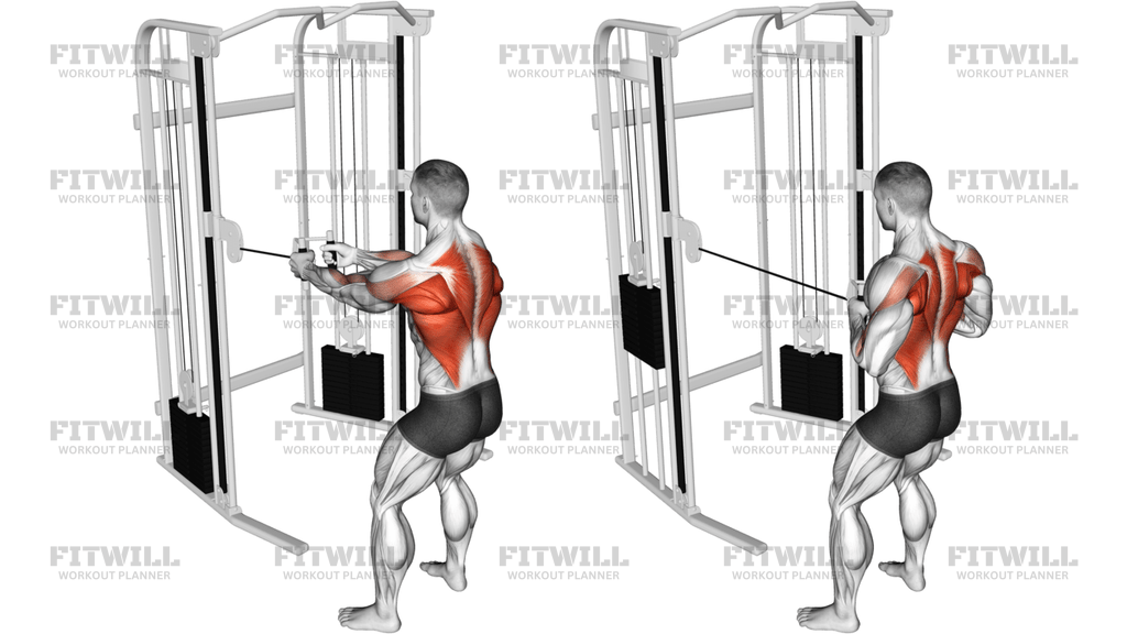 Cable Standing Row