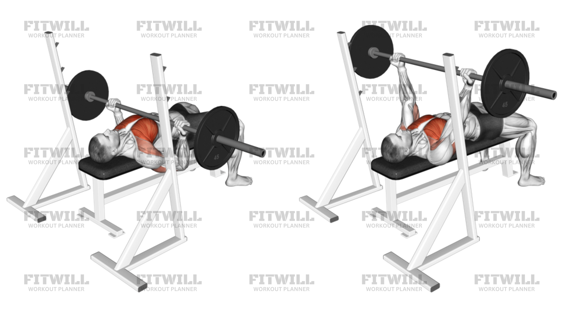 バーベルリバースグリップベンチプレス: エクササイズ動画 | Fitwill