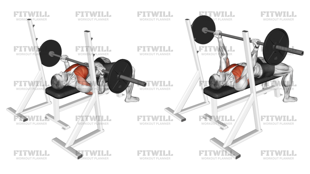 バーベルリバースグリップベンチプレス: エクササイズ動画 | Fitwill