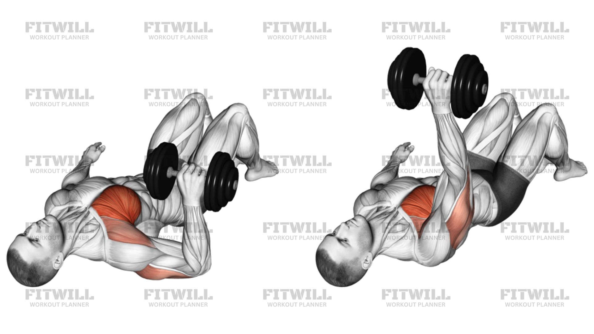 One arm dumbbell floor press hotsell
