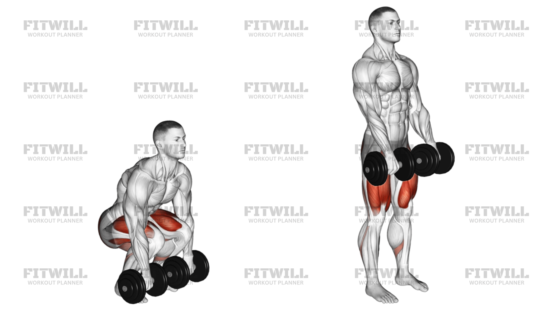 Dumbbell Deadlift (VERSION 2): Exercise Guide, Techniques, Benefits ...