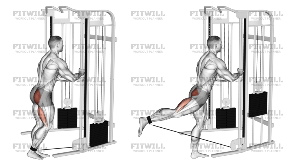 How to do Cable Kickback (male) Techniques, Benefits, Tips & Tricks