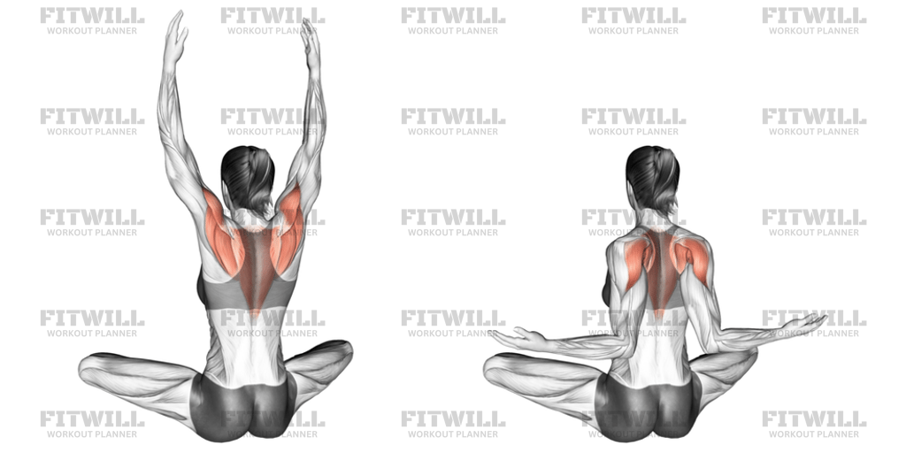 Seated Back Squeeze: Exercise Guide, Video, Techniques, Benefits, How ...