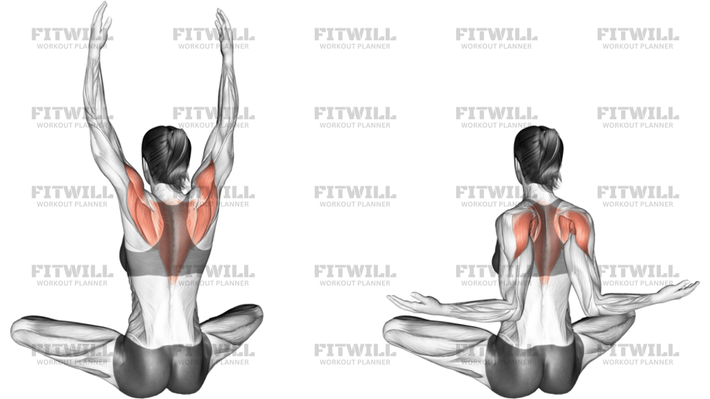 Seated Back Squeeze