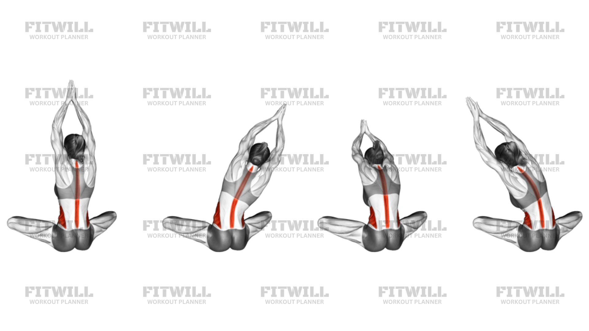 Seated upper body exercises hotsell