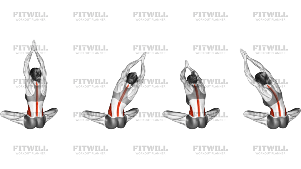 Seated Upper Body Rotation