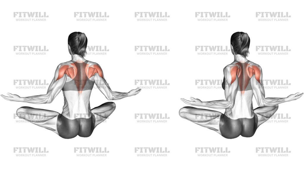 Seated Pulse Back Squeeze