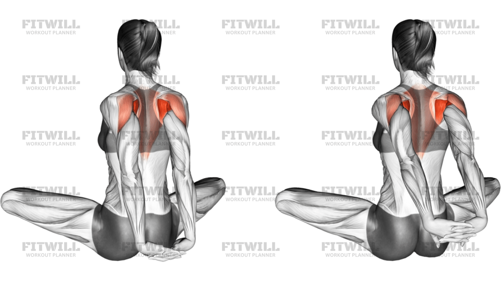 Seated Behind Back Raise