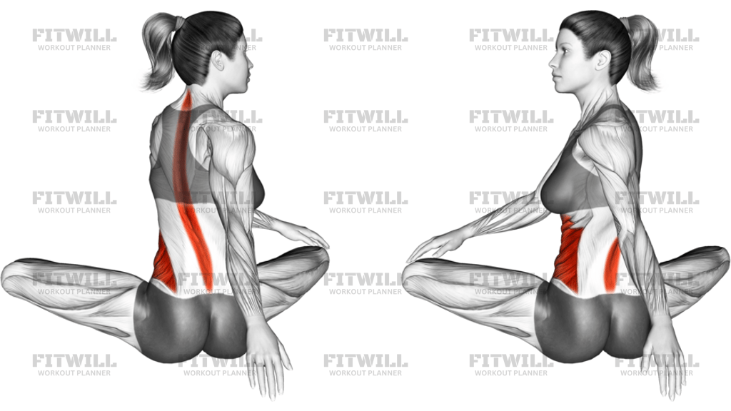 Seated Rotation Stretch