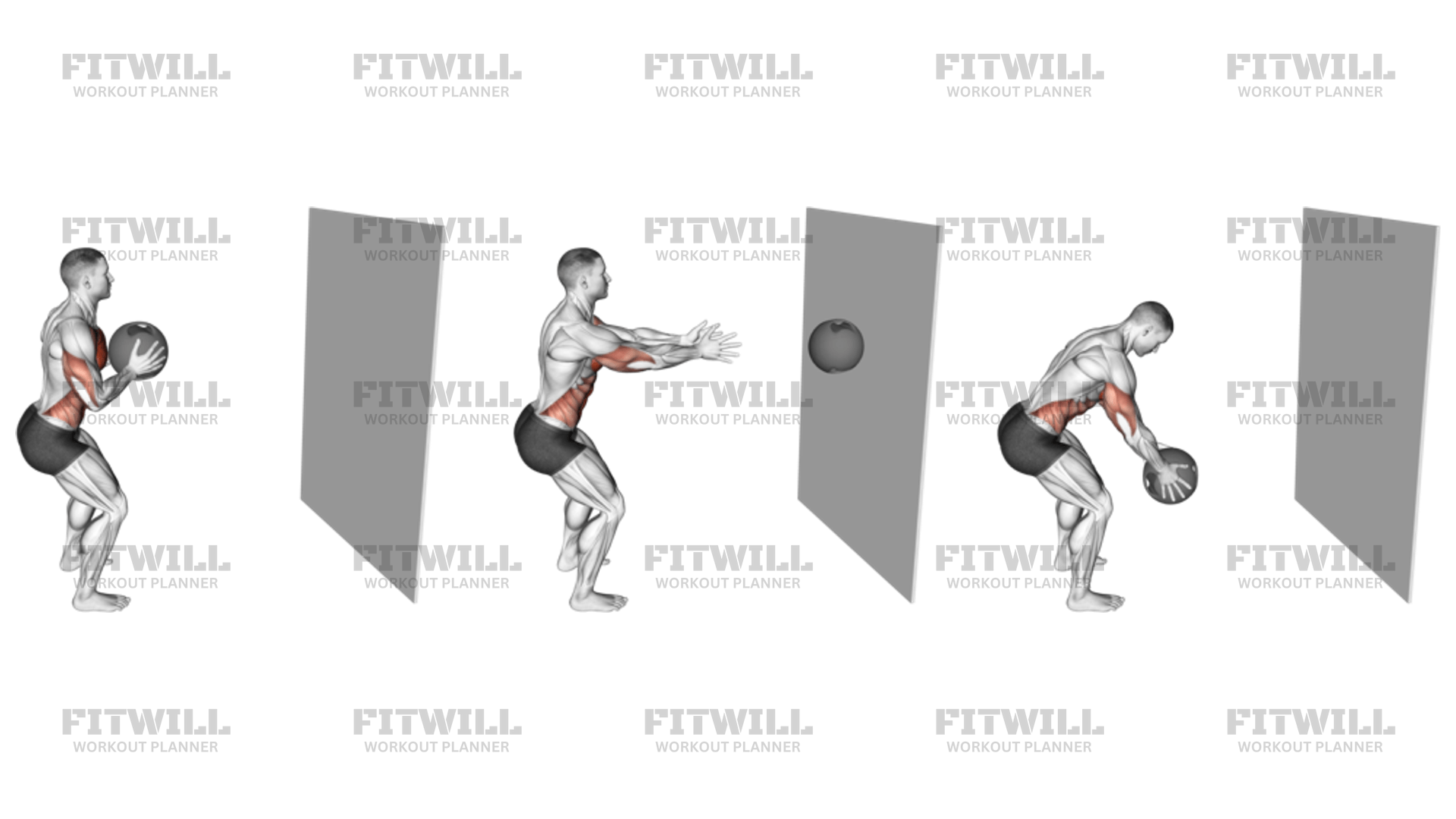 Medicine ball chest exercises hotsell