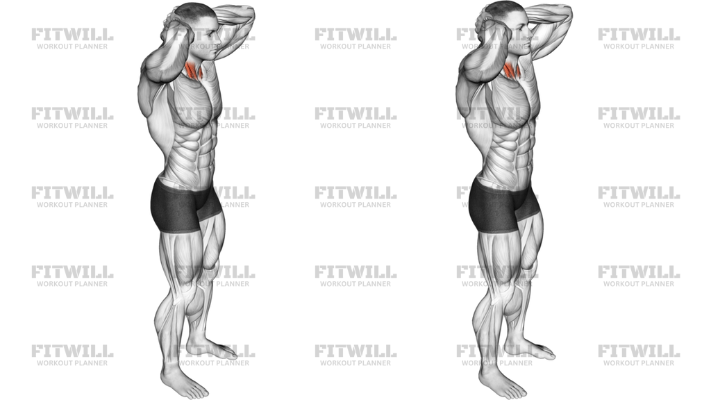 Posterior Neck Isometric