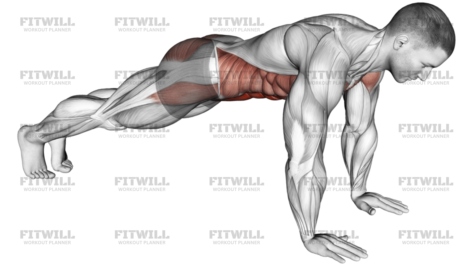 Plank On Hands: Exercise Guide, Video, Techniques, Benefits, How to ...