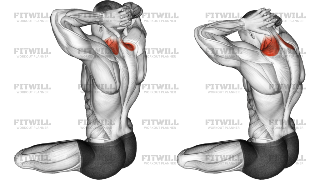Seated Neck Stretch