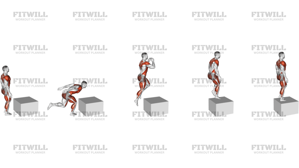 Single Leg Box Jump