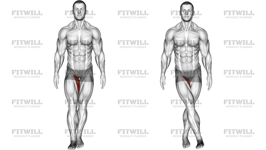 Standing Hip Adduction Version 2