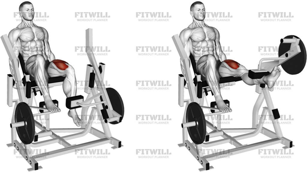 Lever Single Leg Extension Plate Loaded